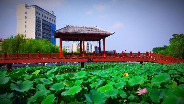 望仙橋